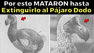 La Triste Historia del Pájaro Dodo