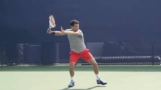 Dimitrov Slow Motion Forehand