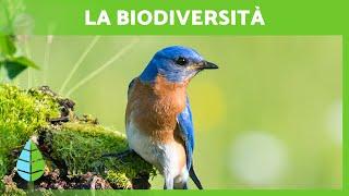 Cos'è la BIODIVERSITÀ e la sua IMPORTANZA 