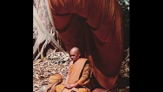 Pháp Luyện Tâm - Những Lời Dạy Của Ngài Ajahn Chah