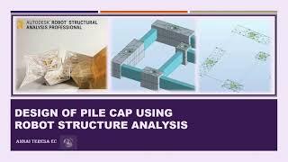 Design of Pile cap using Robot Structure Analysis