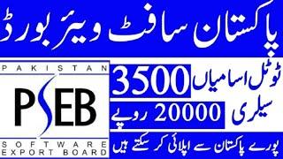 Pakistan Software Export Board PSEP internships jobs 2022