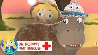 Bobo the Hippo | Doctor Poppy - Animals For Kids | Cartoon Animals