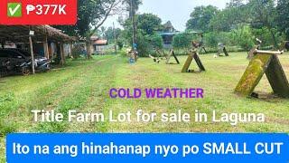 #Vlog235 FARM LOT TITLE FOR SALE SMALL CUT ₱377K in LAGUNA | COLD WEATHER | FLOOD FREE