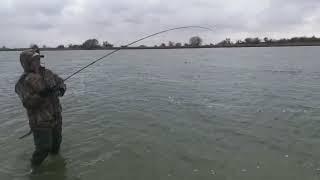 Судак на дону 2 от don_fishing61