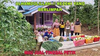 ALHAMDULILLAH..!! REZEKI YANG BERLIMPAH || MAU JUAL TINGGAL PETIK