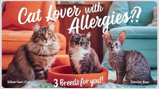 3 The Best Cat Breeds for People With Allergies