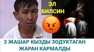 3 жашар КЫЗДЫ зордуктаган жран кармалды