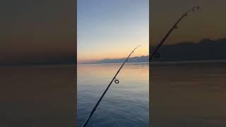 Is it shark?!! Fishing in Antalya, Turkey #citywalk #fishing #sea #mediterranean