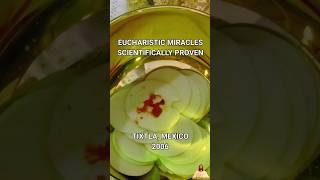 Eucharistic Miracles - Scientifically Proven #shorts #eucharist #jesus