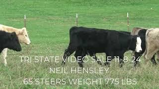 TRI STATE VIDEO SALE 11-8-24