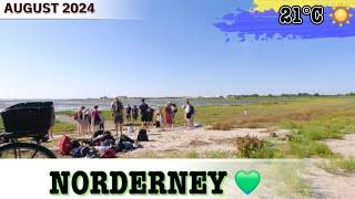 Norderney, Inselrundfahrt nach den Sommerferien, Natur pur und Island life 2024