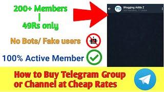 How to buy Telegram Group or Channel with Active Members | No bots