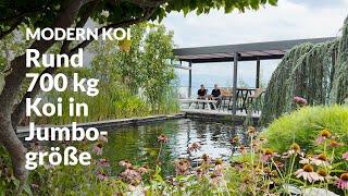 Urs 100.000 Liter Teich mit Hammeraussicht und Lounge | Modern Koi Blog #7173