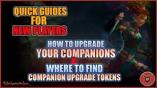 Quick Guide for New Players - How to Upgrade Companions & where to find companion upgrade tokens