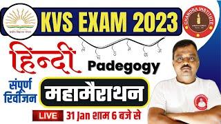 KVS PRT HINDI 2023 | महामैराथन हिंदी क्लास | kvs prt hindi marathon class 2023 | kvs prt hindi class