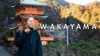 Wakayama's Hidden Gems and How To See Them!