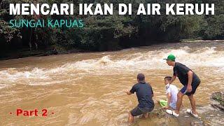 NEKAT ‼️ MENCARI IKAN DI SUNGAI KAPUAS SAAT AIR KERUH - KAPUAS HULU ( Part 2 )