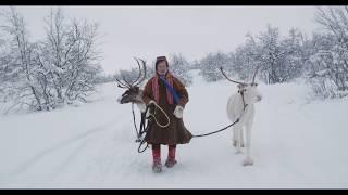 Northern lights story by a Sami reindeer herder | Visit Norway