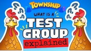 Township TEST GROUPS Explained!