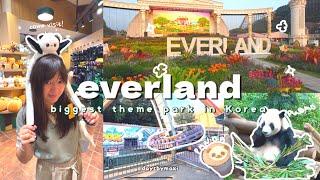 A Day at Everland | Korea's Largest Theme Park, pandas  , safari ride, roller coasters - KOREA VLOG