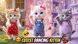 Cute Cat videos funny dance  Videos for cats | बिल्ली डांस | Funny cats #funny #dancingcat #cat