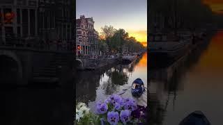 Beautiful Amsterdam. #shorts #travel #vacation #youtubeshorts