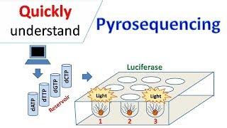 Pyrosequencing