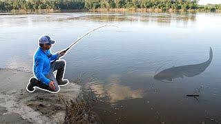 The Hunt For A 100lb CATFISH!!! (FIRST From This Spot!)