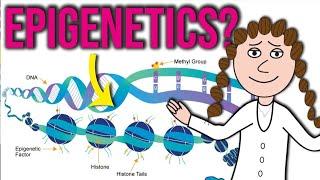 What does epigenetics really mean?