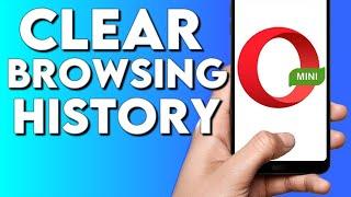 How To Clear Browsing History on Opera Mini Browser Phone App