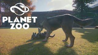 ВОЛК #25 PLANET ZOO ПРОХОЖДЕНИЕ