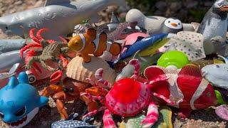 Toy Sea Animals Collection for Kids