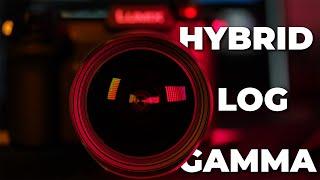 What Is HLG? In Depth Explanation of Hybrid Log Gamma