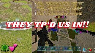 They TP’d Us Into Their MESH BASE!! IM THE BIGGEST BIRD | Ark Survival Evolved Official PvP | BDT