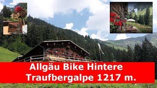 E-Bike Tour Allgäu Traufbergalpe