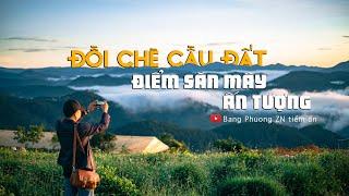 ĐỒI CHÈ CẦU ĐẤT - Điểm săn mây ấn tượng| Việt Nam vẻ đẹp tiềm ẩn số 71 |Dalat |doichecaudat |lamdong