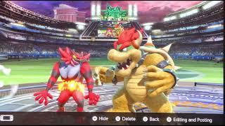 Bowser & Incineroar are gay