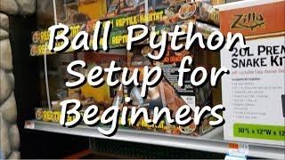 Ball Python: Setup an enclosure for you new ball python