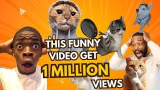 Funniest cat Video: Hits 1Million Views Overnight!"Tui tui best funny video#1million #video #funny