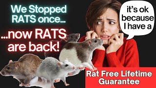 RATS KEEP RETURNING - so do the PEST INTERCEPTORS - Rat Free Lifetime Guarantee