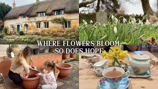 Slow Living in the Moody English Countryside: Days Of February, Waiting For Spring  Silent vlog UK