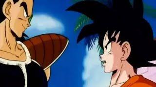 Pertemuan Tidak Terduga Goku Bertemu dengan Raditz (Saudara Goku)