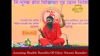 Amazing Health Benefits Of Giloy | Swami Ramdev