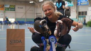 *REMASTERED* FINNISH HOBBYHORSE CHAMPIONSHIPS 2019