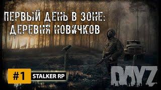 ️DayZ STALKER RP STREAM #1 Стрим сталкер РП. День 1. Деревня новичков.