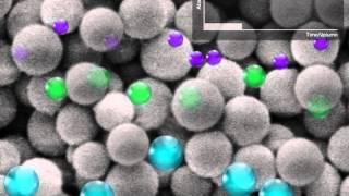 Size Exclusion Chromatography (SEC)