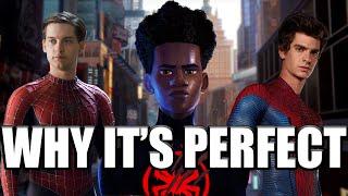 What is the Perfect Spider-Man Story