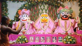 Ulta Ratha Yatra Sri Dham Mayapur - July 15, 2024