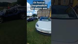 Chargeheads at EV festival spicing things up with Modified EV's & Conversions